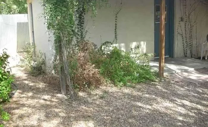 604 E University Blvd Guest House